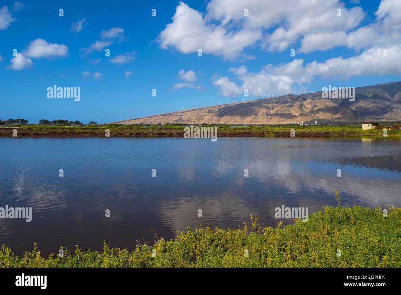 kealia stagno fauna paesaggio rifugio e ovest montagne maui Foto Stock