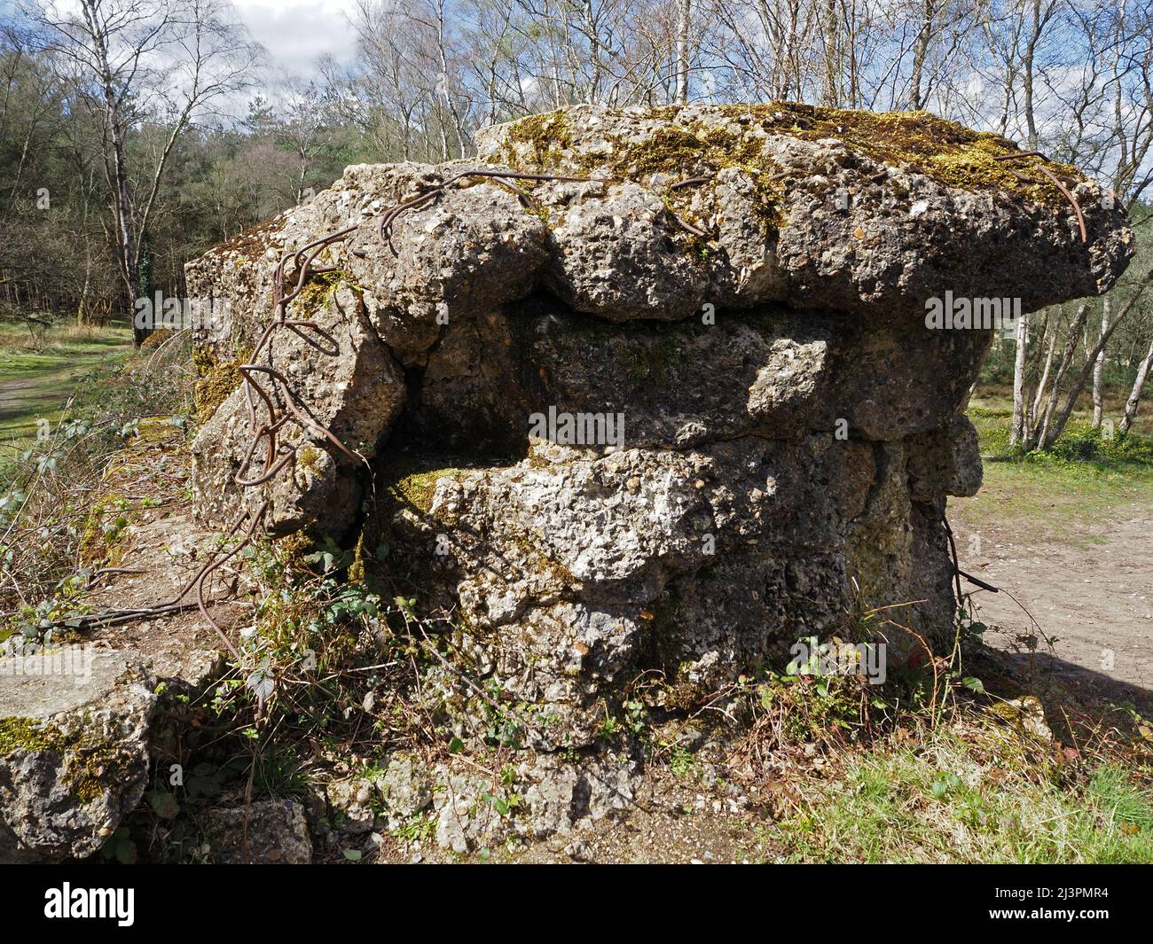 The Atlantic Wall un muro difensivo di addestramento del WW2 a Hankley Common, Thurley, Surrey, Inghilterra, Regno Unito. Foto Stock