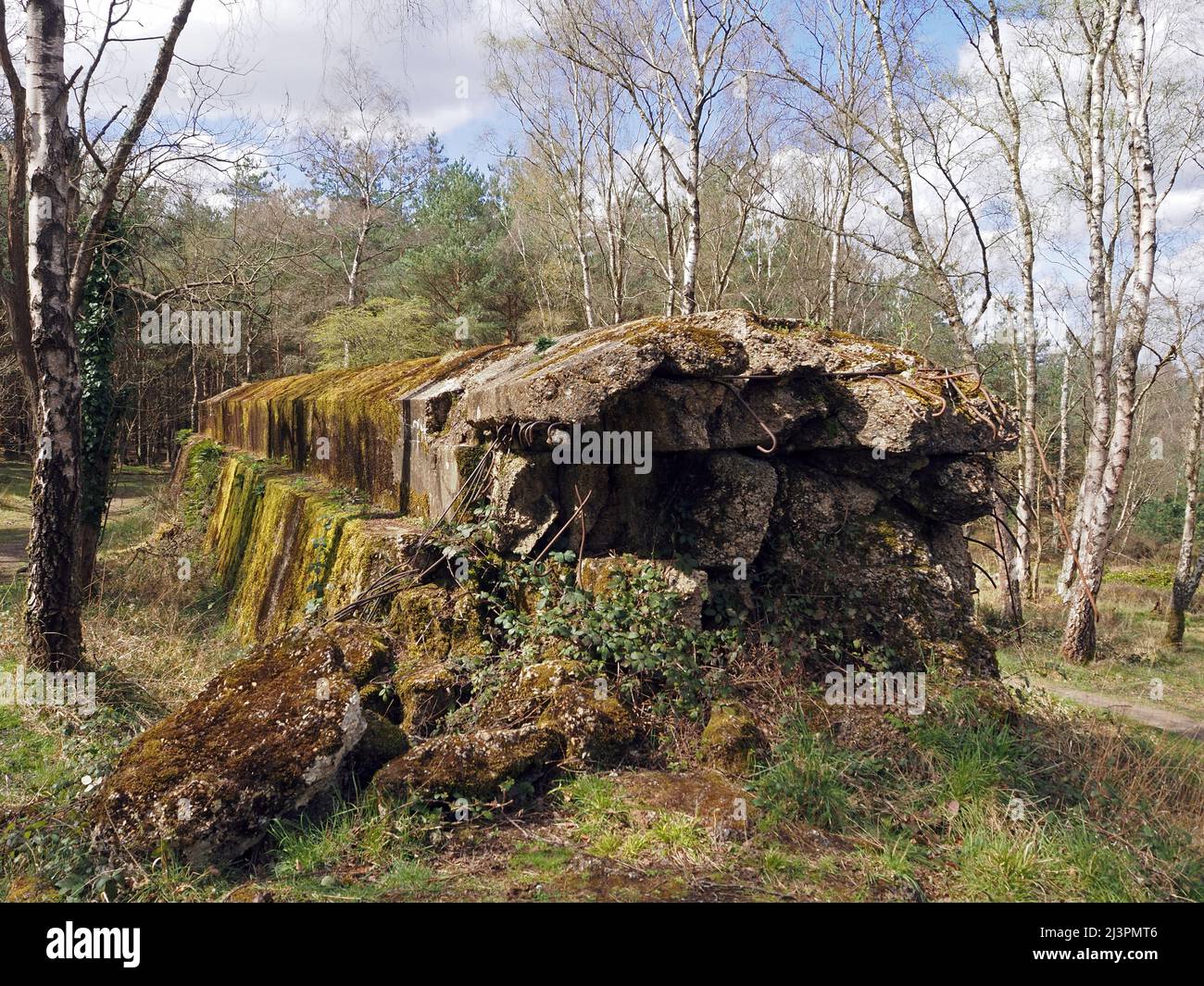 The Atlantic Wall un muro difensivo di addestramento del WW2 a Hankley Common, Thurley, Surrey, Inghilterra, Regno Unito. Foto Stock
