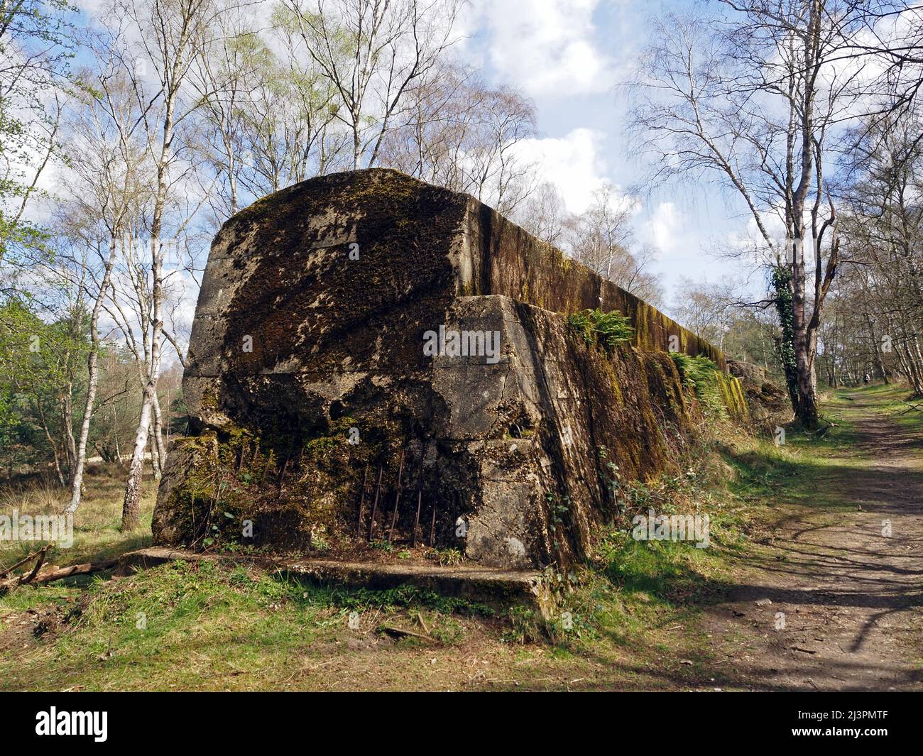 The Atlantic Wall un muro difensivo di addestramento del WW2 a Hankley Common, Thurley, Surrey, Inghilterra, Regno Unito. Foto Stock