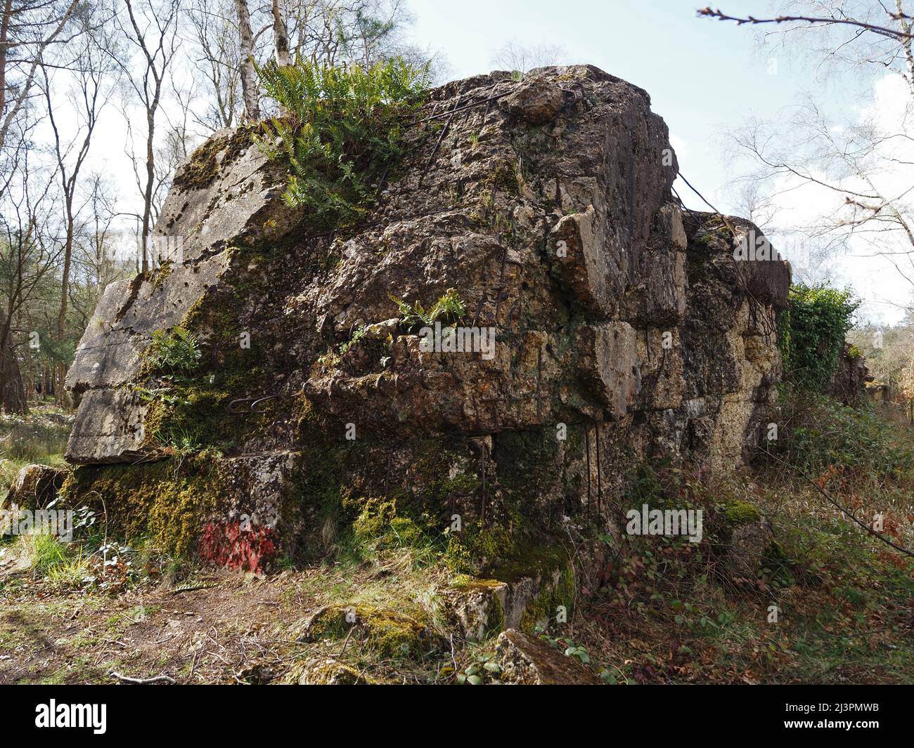 The Atlantic Wall un muro difensivo di addestramento del WW2 a Hankley Common, Thurley, Surrey, Inghilterra, Regno Unito. Foto Stock