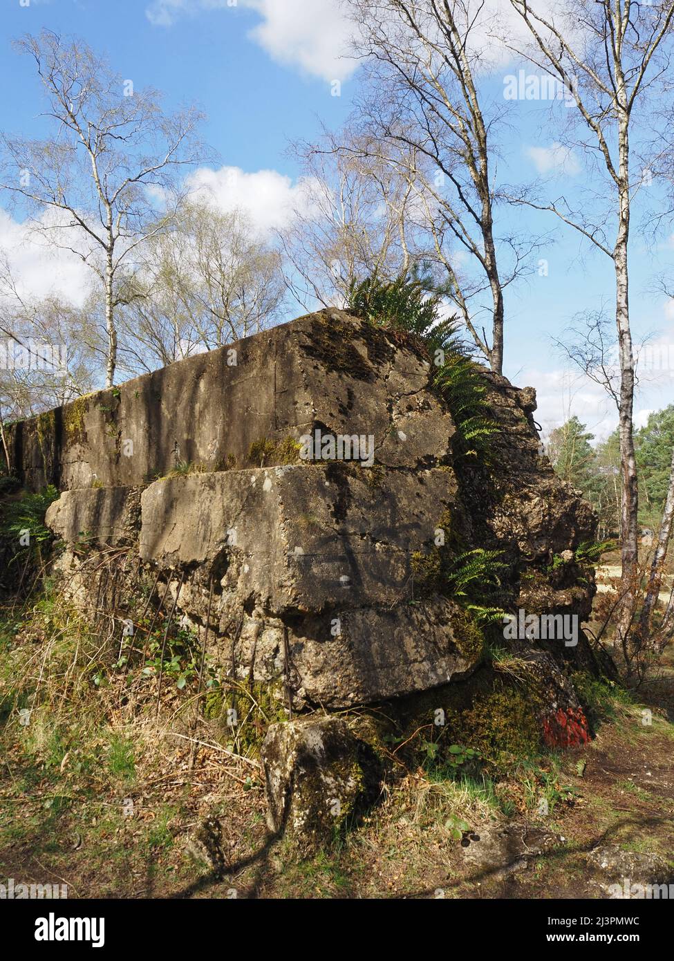 The Atlantic Wall un muro difensivo di addestramento del WW2 a Hankley Common, Thurley, Surrey, Inghilterra, Regno Unito. Foto Stock