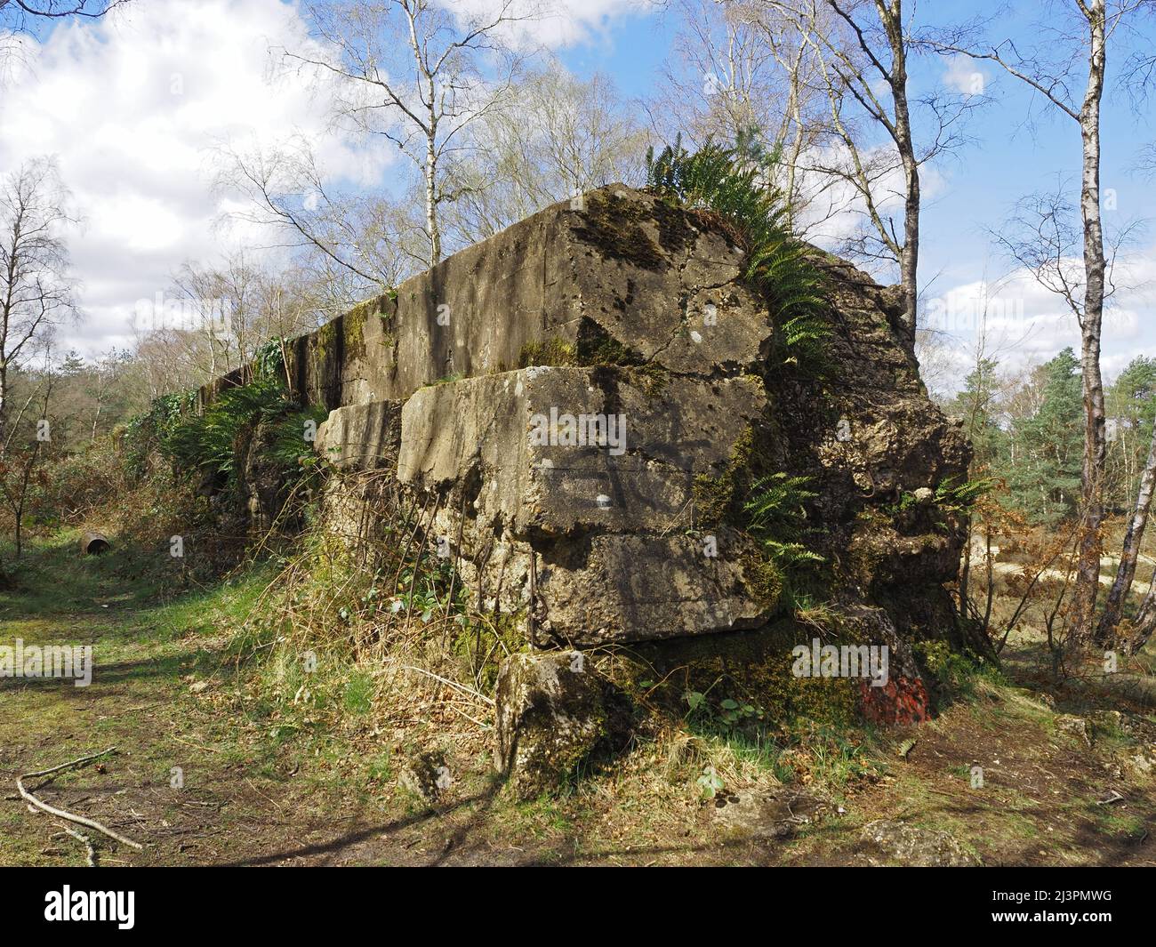 The Atlantic Wall un muro difensivo di addestramento del WW2 a Hankley Common, Thurley, Surrey, Inghilterra, Regno Unito. Foto Stock
