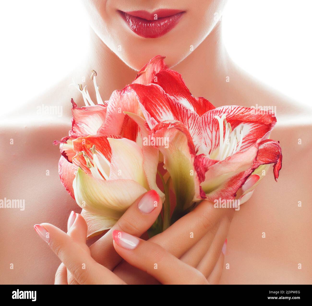 Bellezza mani delicata rosa con ombre manicure design azienda fiore rosso amaryllis close up isolato macro a caldo Foto Stock