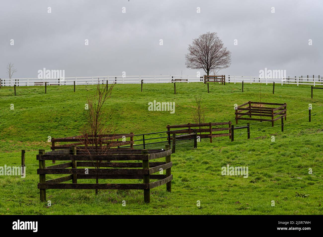 Paesaggio all'aperto Foto di alberi in piantatrice Scherma in un giorno di risata. Foto Stock