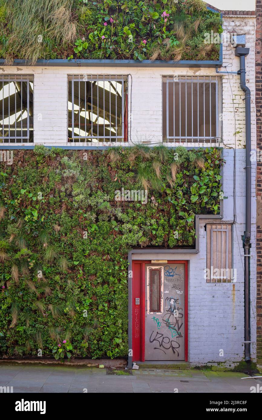 Liverpool Car Park con piante che crescono all'esterno / eco-edificio Foto Stock