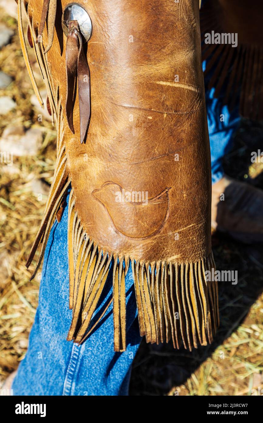 Primo piano del marchio Little Duck di otto generazioni su cowboy chaps; primavera marcare a caldo sul ranch Hutchinson vicino a Salida: Colorado; Stati Uniti Foto Stock