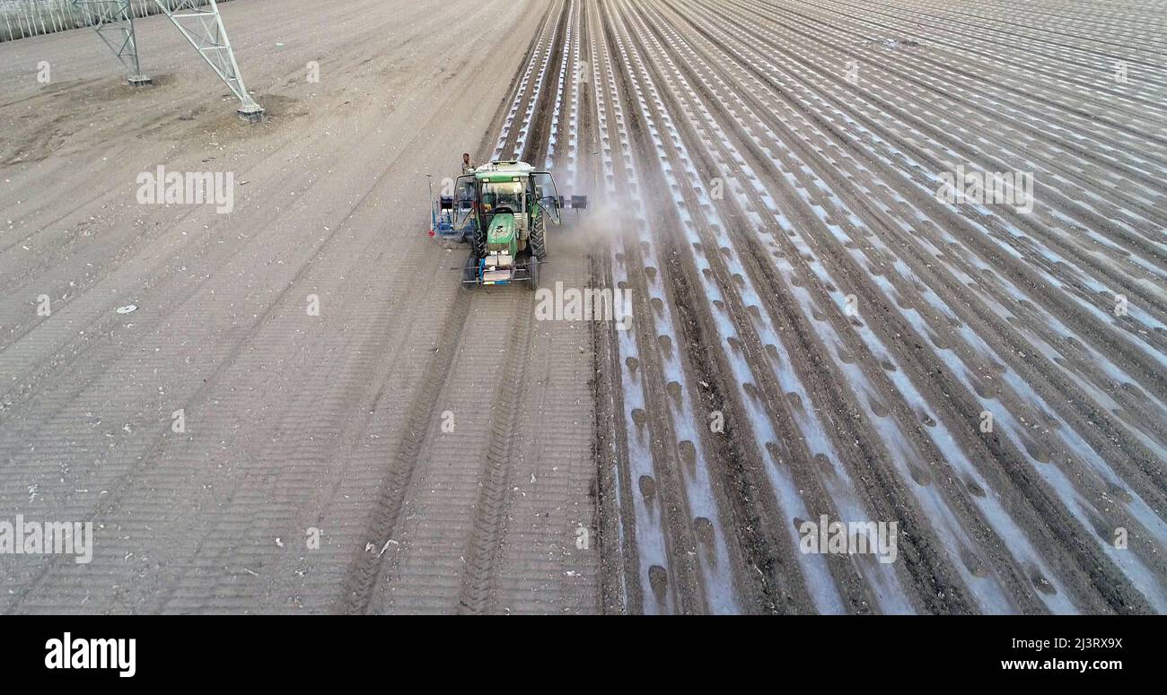 HAMI, CINA - 9 APRILE 2022 - Foto aerea di piantatura di cotone a macchina in Hami, Xinjiang, Cina, 09 aprile 2022. Foto Stock