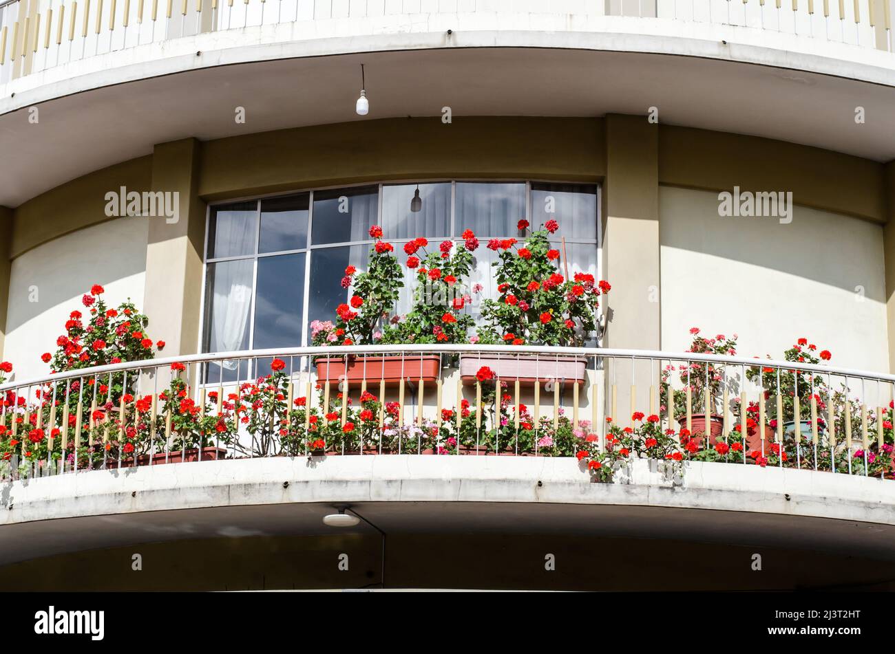 Balcone con gerani rossi nella città di Cuenca in Ecuador Foto Stock