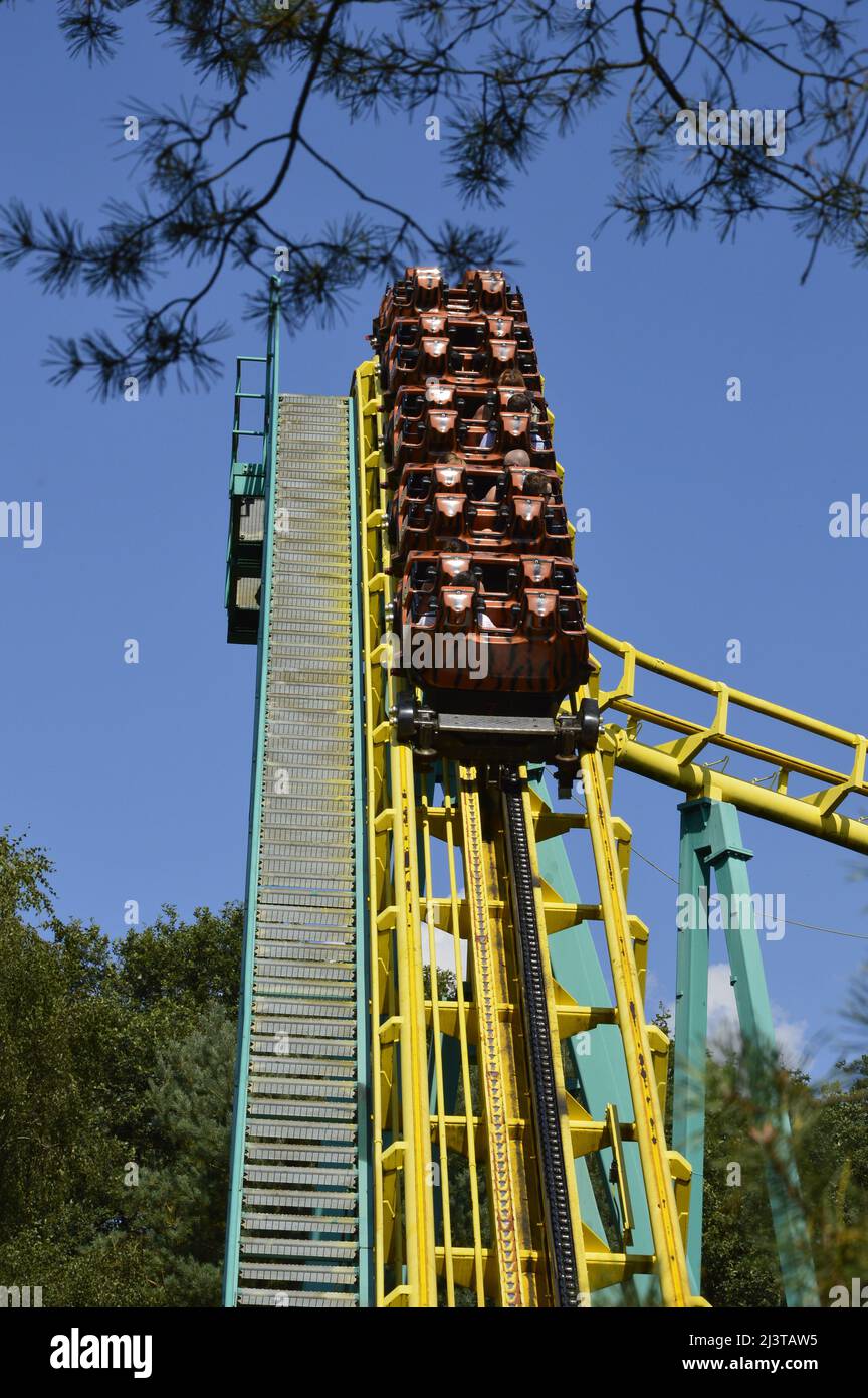 montagne russe "flying tiger" nel parco safari di schloss holte-stukenbrok Foto Stock