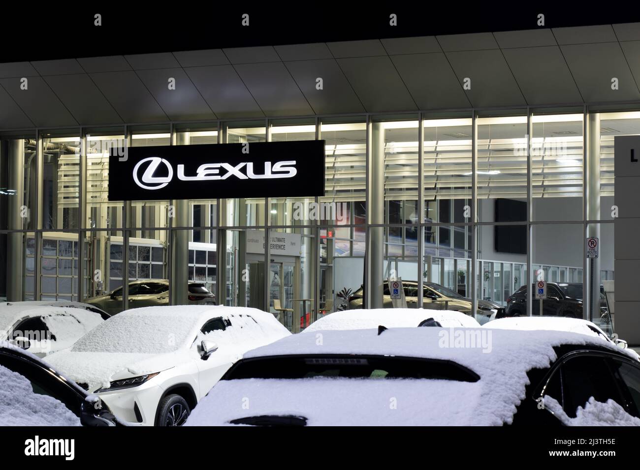 Il logo Lexus su un cartello appeso davanti a una concessionaria Lexus di notte, visto da dietro una nuova vettura parcheggiata. Foto Stock