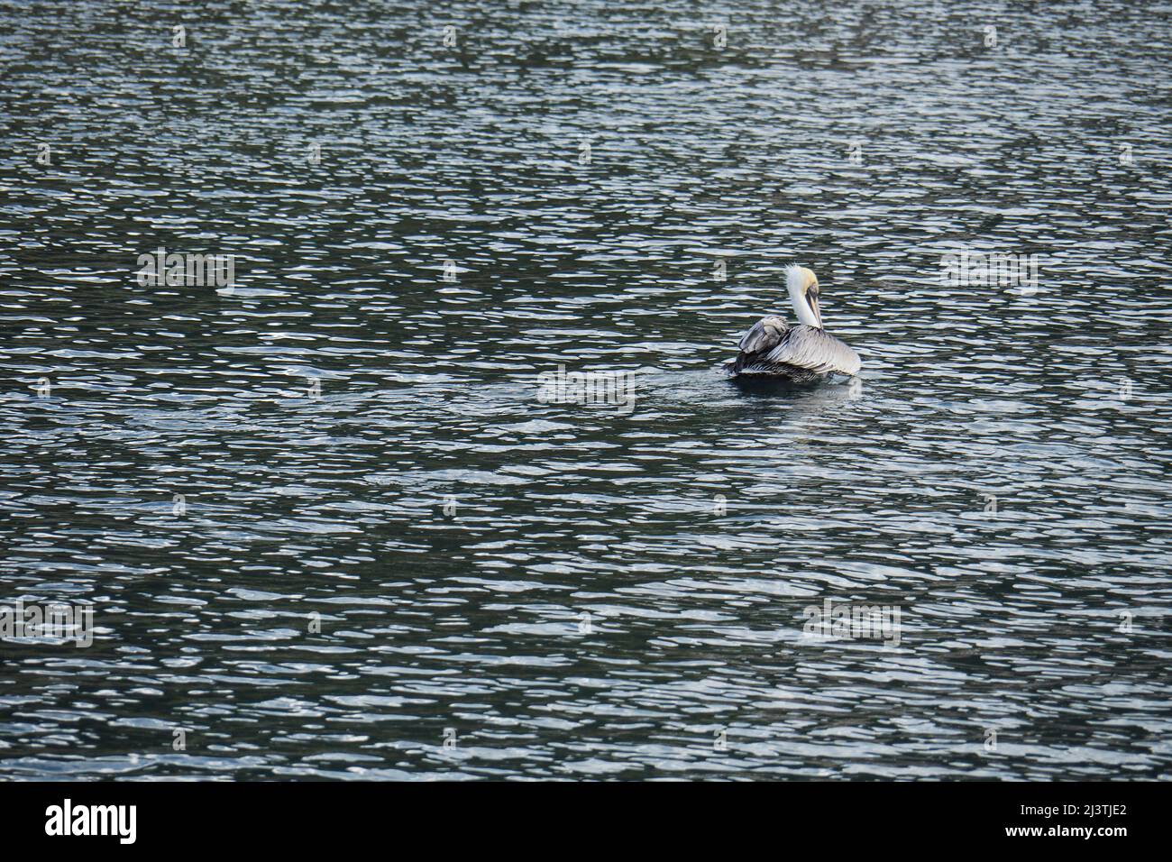 Francia, outre mer, Martinica, Schoelcher Foto Stock