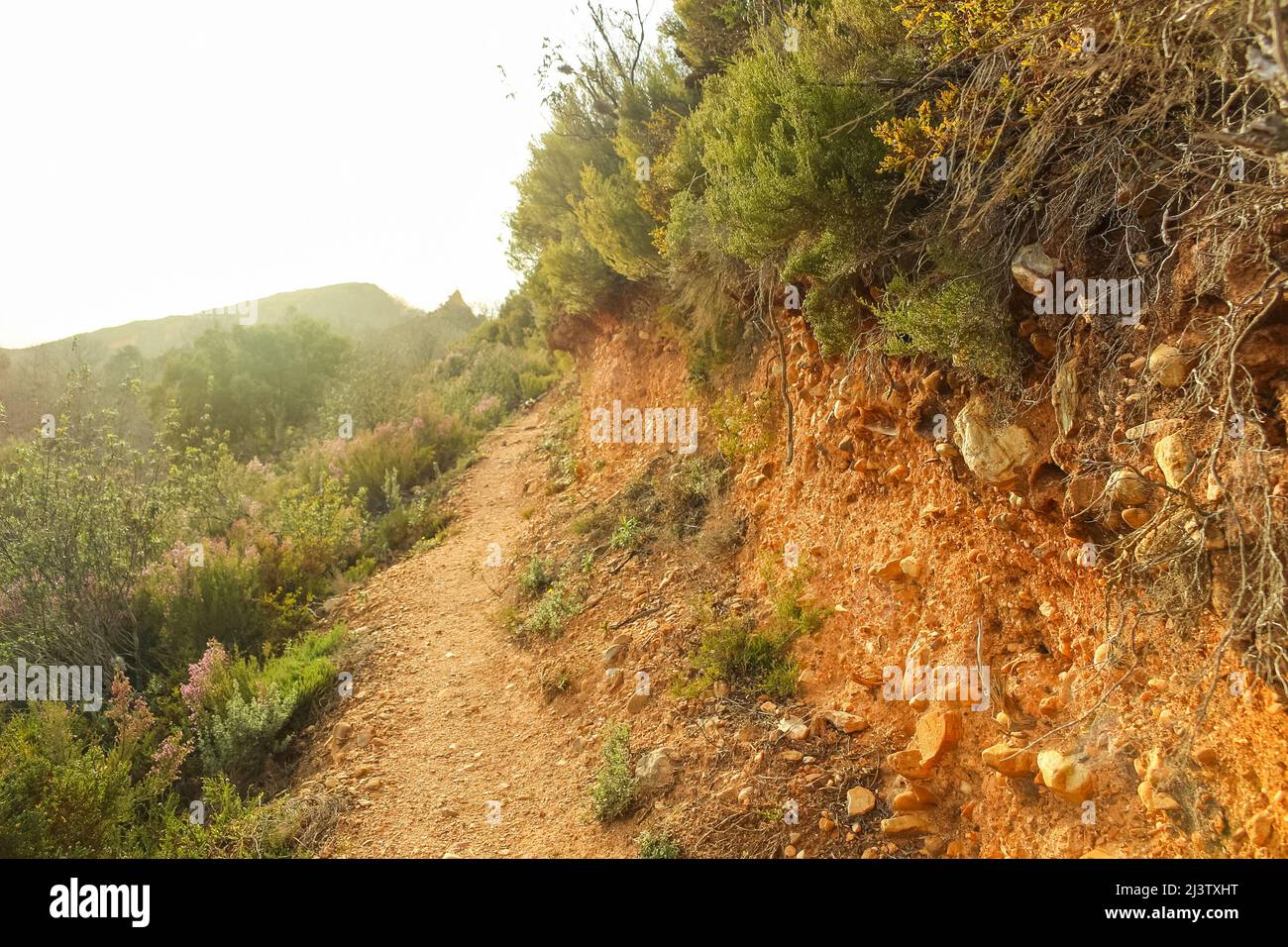 Las Médulas, León. Castilla y León, España. Foto Stock