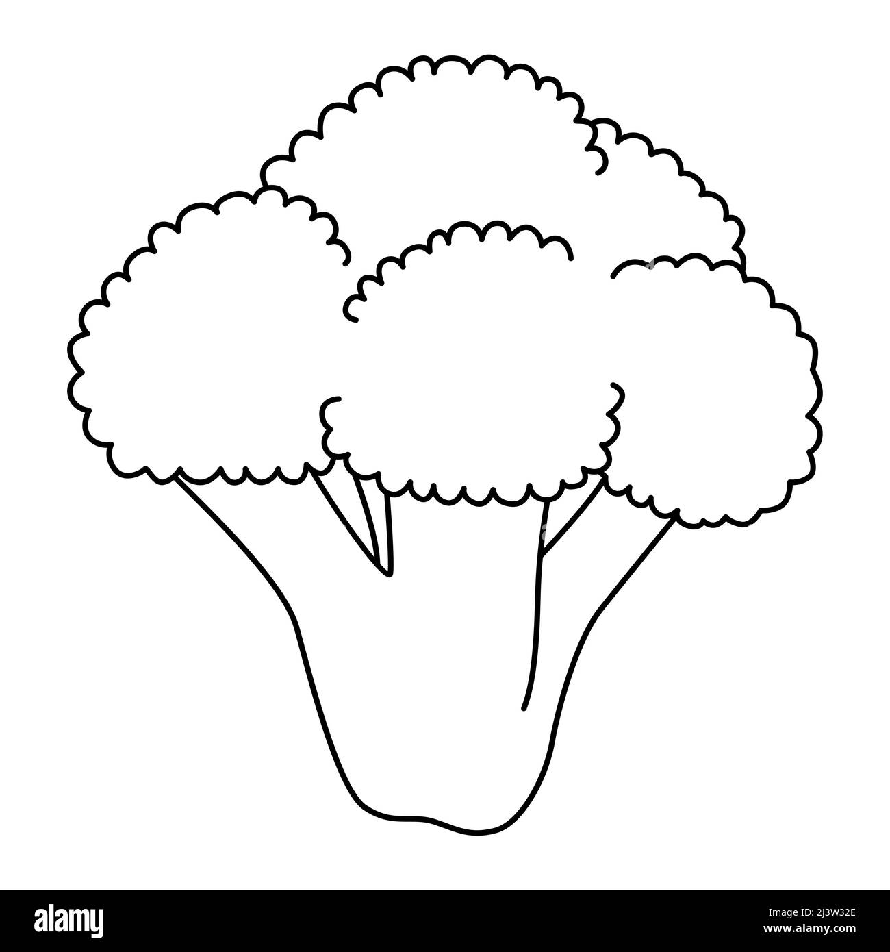 Ramo di broccoli in stile cartone animato. Illustrazione vettoriale in bianco e nero per libro da colorare Illustrazione Vettoriale