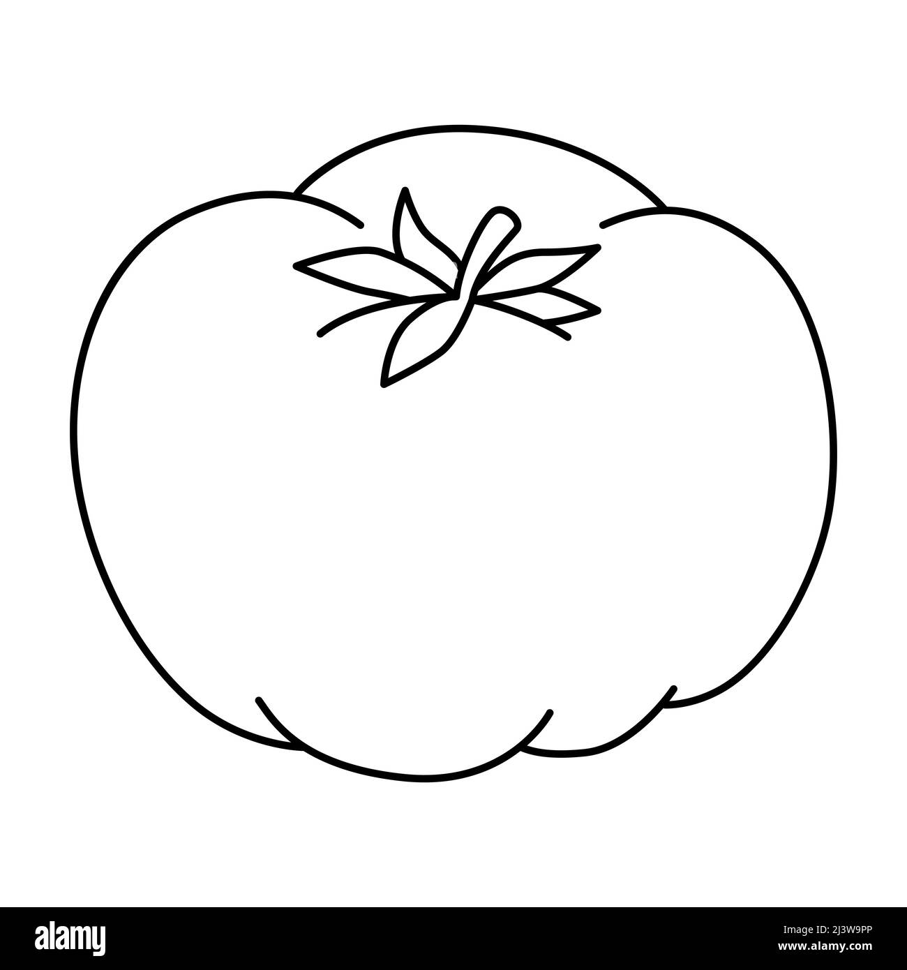 Illustrazione vettoriale in bianco e nero di pomodoro per libro da colorare. Verdure fresche mature Illustrazione Vettoriale