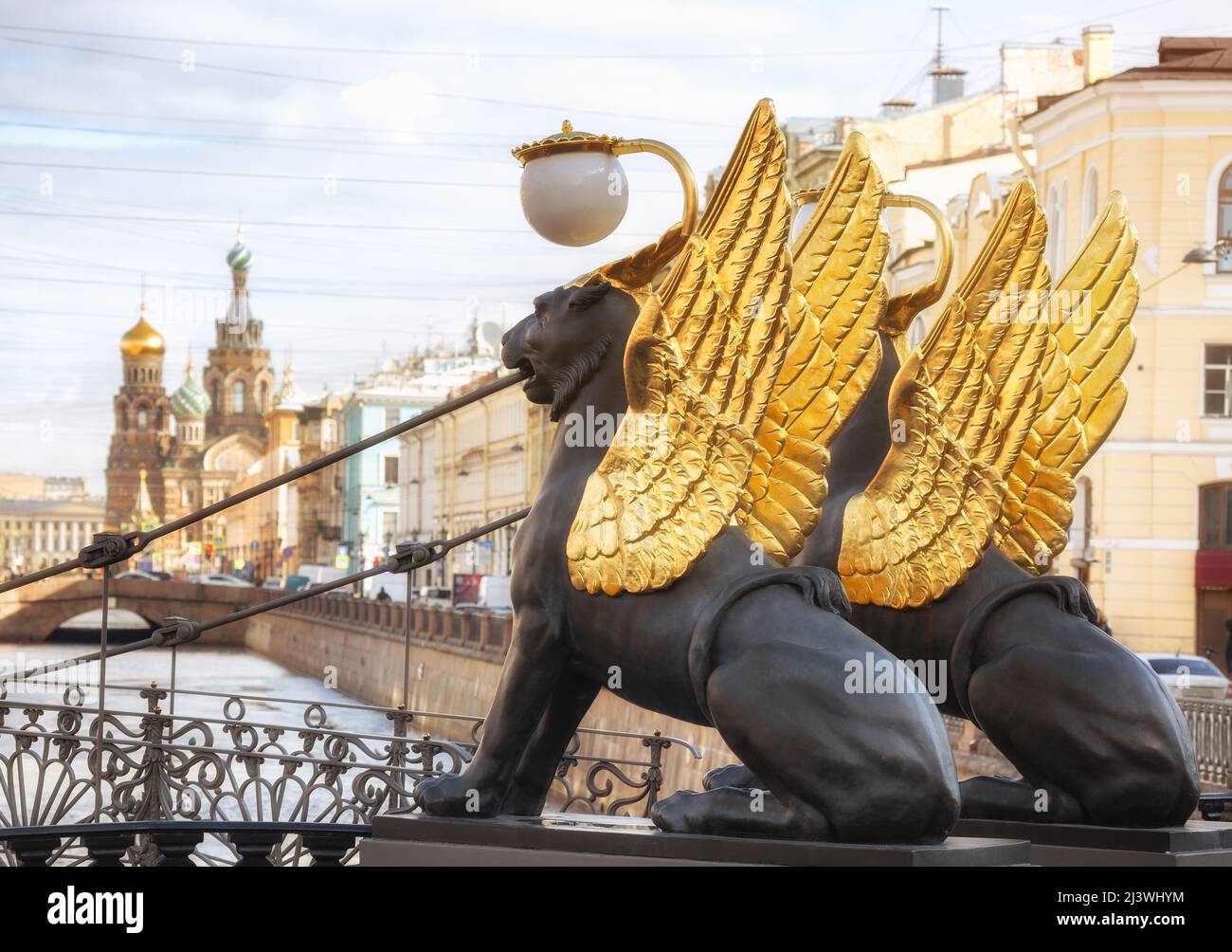 Griffin alati sul ponte della Banca sul canale di Griboyedov e la Cattedrale del Salvatore sul sangue versato, San Pietroburgo, Russia Foto Stock