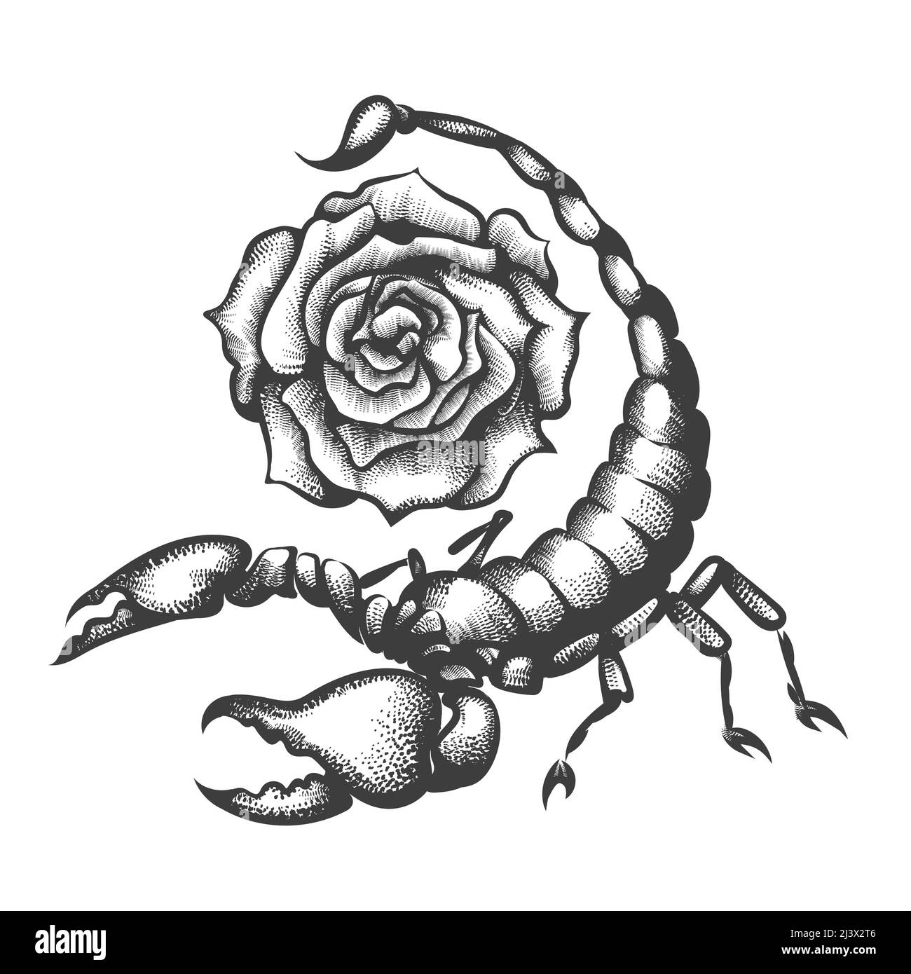 Tatuaggio di Scorpione e fiore di rosa disegnato in stile engraving isolato su bianco. Illustrazione vettoriale. Illustrazione Vettoriale