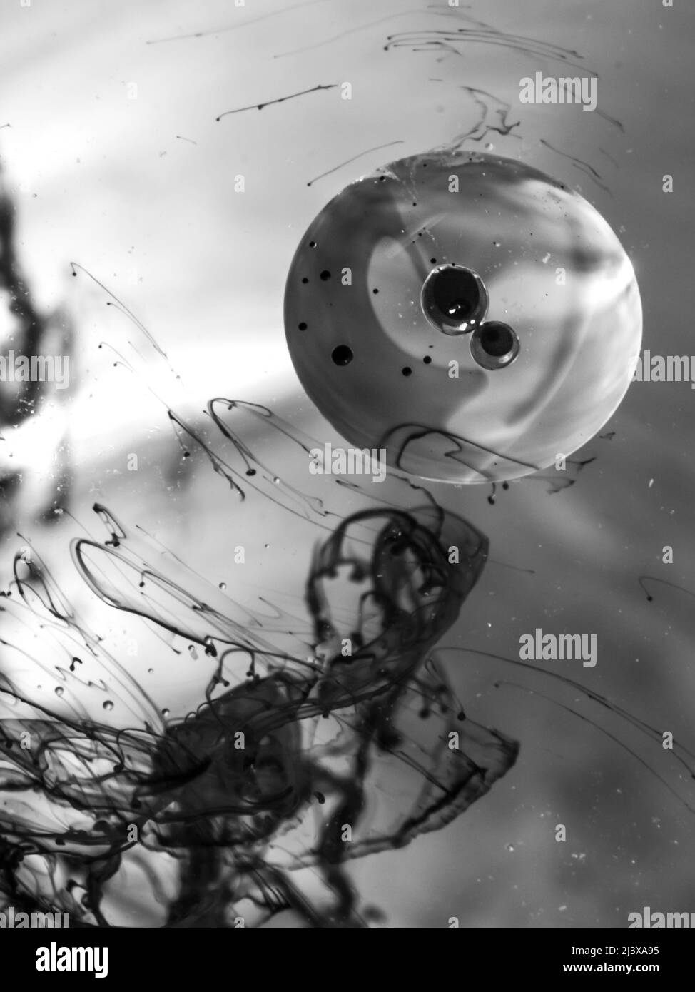 Goccia d'inchiostro che galleggia in acqua, immagine fluida astratta. Foto Stock