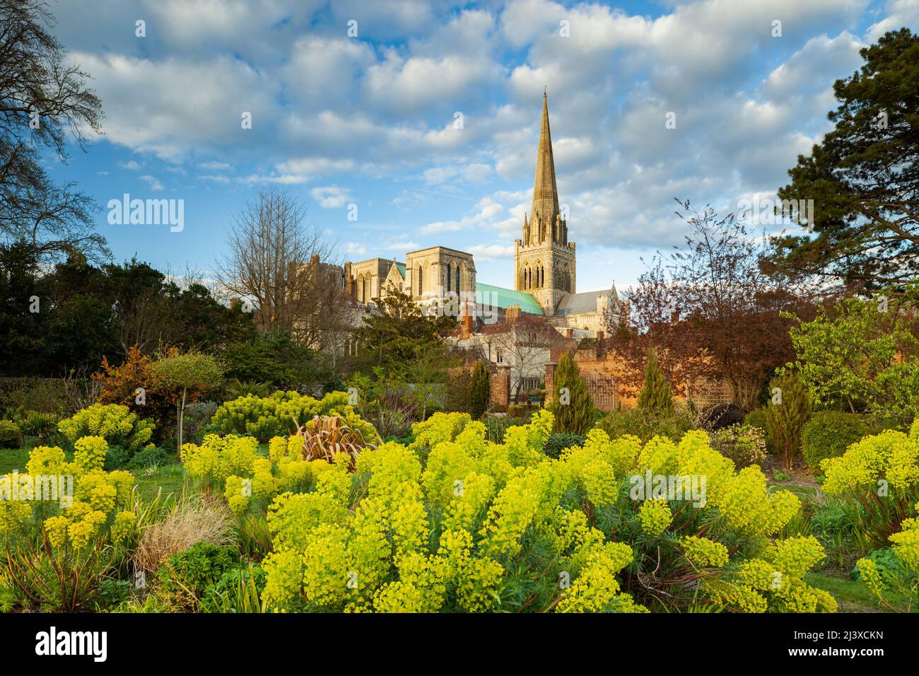 Tramonto primaverile al Bishop's Garden di Chichester, West Sussex, Inghilterra. Cattedrale di Chichester in lontananza. Foto Stock