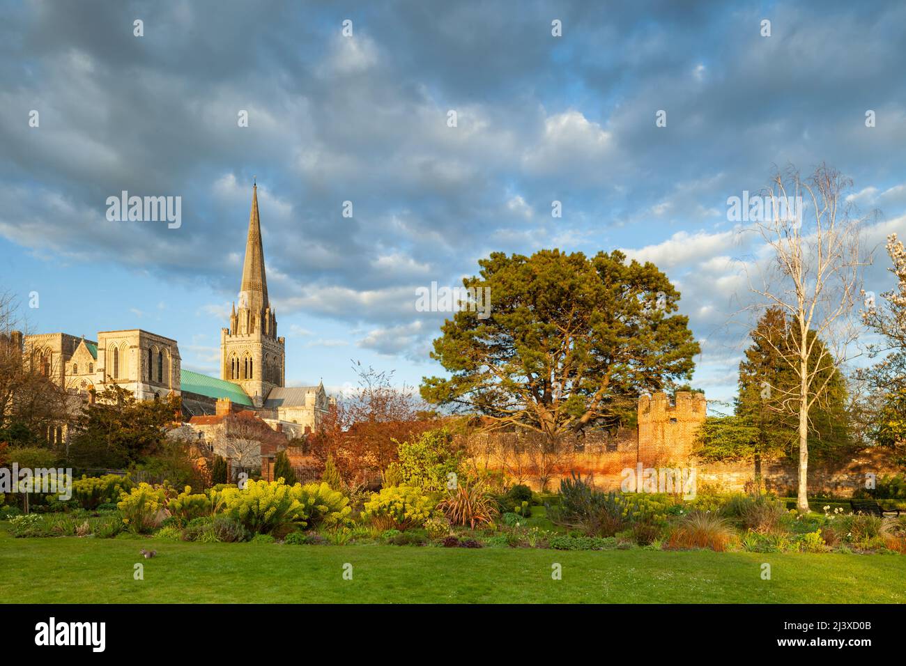 Prima serata primaverile al Bishop's Garden di Chichester, West Sussex, Inghilterra. Foto Stock