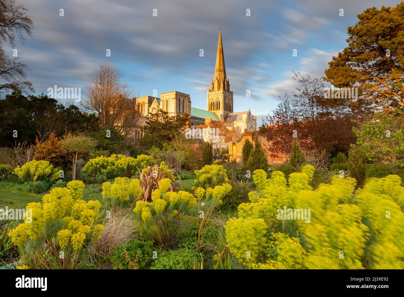 Serata di primavera al Bishop's Palace Garden, Cattedrale di Chichester in lontananza. Chichester, Sussex occidentale. Foto Stock