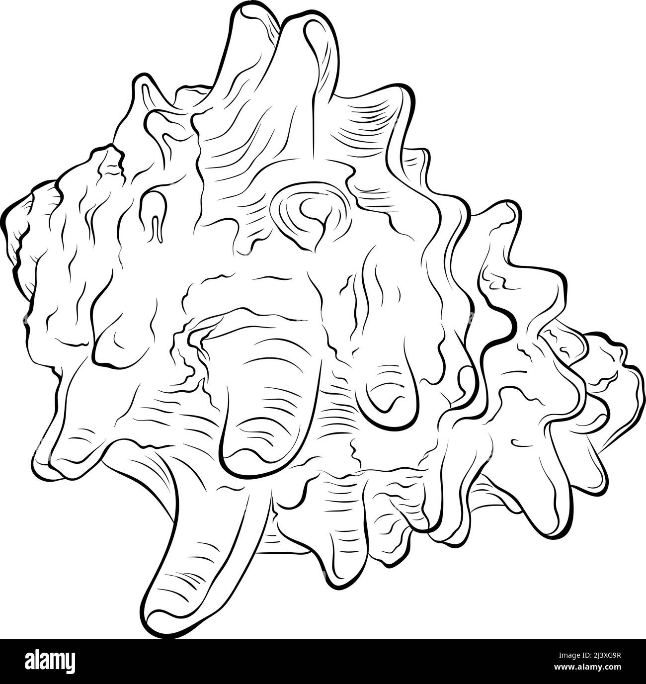 Vista laterale in conchiglia a spirale ART Illustrazione Vettoriale