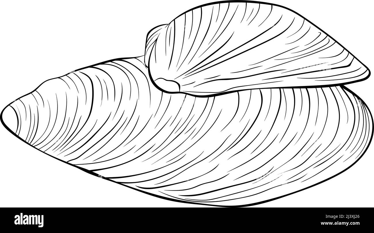 Linea di conchiglie di mussel ART Illustrazione Vettoriale