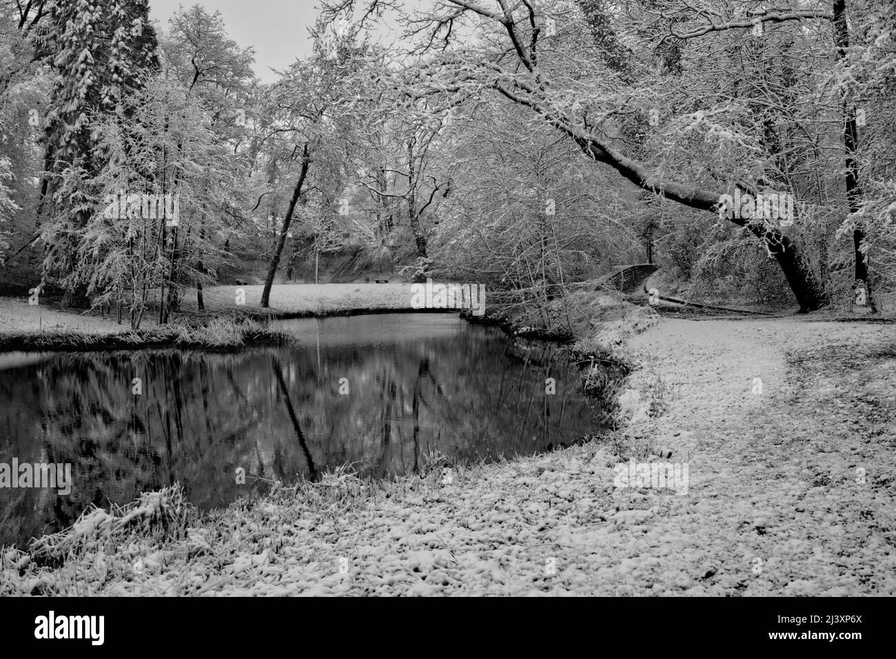 scena bucolica di un parco rurale completamente innevato con un laghetto al centro incorniciato da alcuni alberi forti in bianco e nero Foto Stock