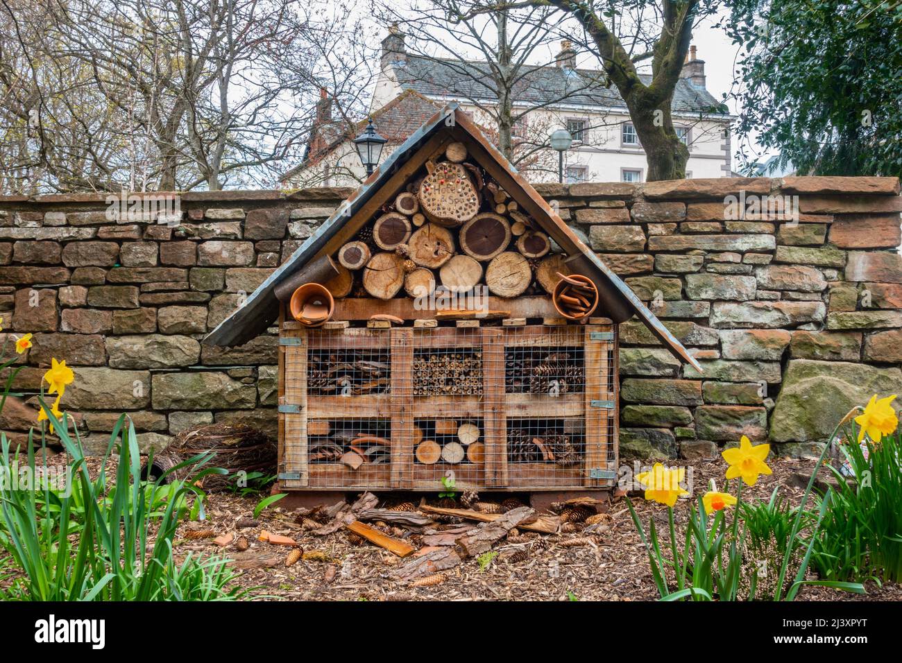 Un hotel di api o insetti attaccato ad un alberino in un giardino per fornire gli insetti un posto sicuro per ibernare. Foto Stock