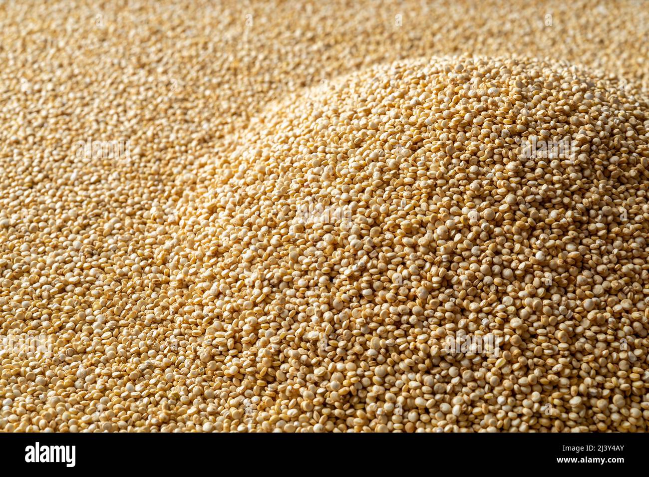 Mucchio di semi bianchi di quinoa come sfondo. Mucchio di grano di quinoa crudo macro texture. Quinoa di chenopodio secco per la dieta senza glutine. Mangiare vegetariano Foto Stock