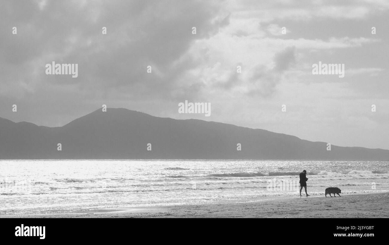 Un uomo e un cane chubby camminano sul bordo dell'acqua di una spiaggia tranquilla accanto all'isola di Kapiti in Nuova Zelanda Foto Stock