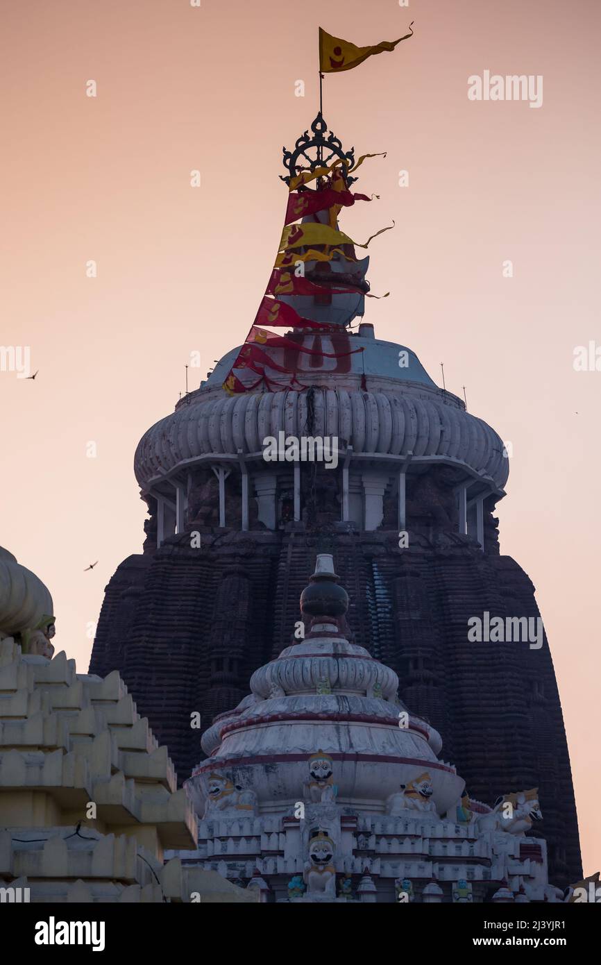 Devoti all'ingresso della cupola principale del tempio di Jagannath Tempio, dedicato a Jagannath o Lord Vishnu nella città costiera di Puri, Odisha, India. Foto Stock