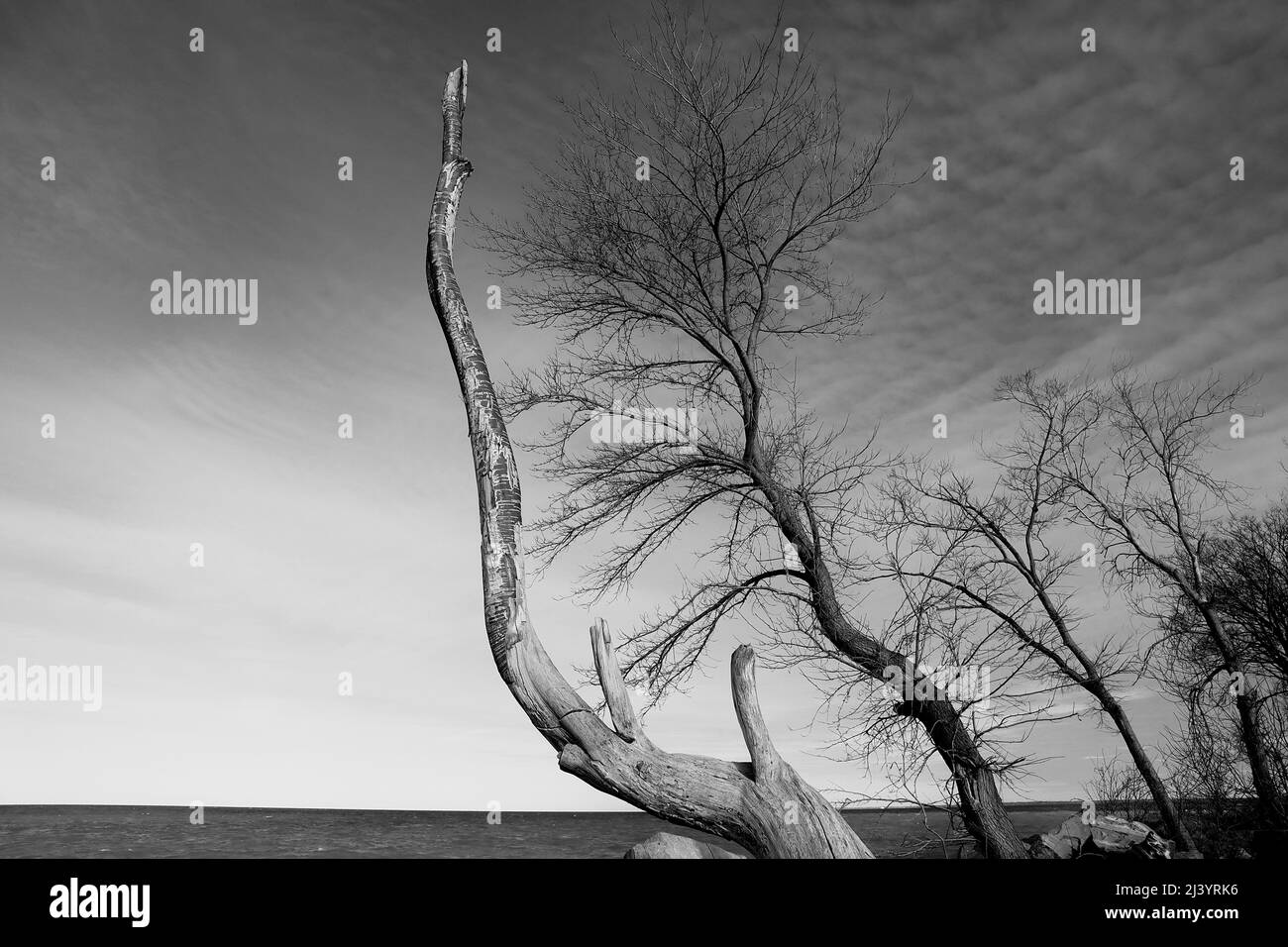 Natura irregolare Foto Stock