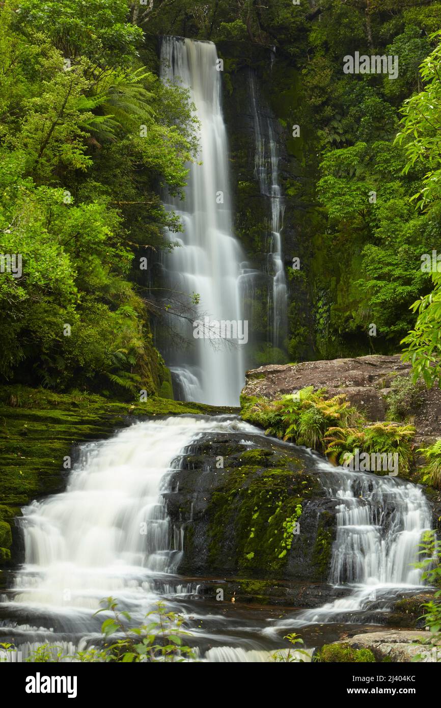 McLean Falls, Catlins, South Island, Nuova Zelanda Foto Stock