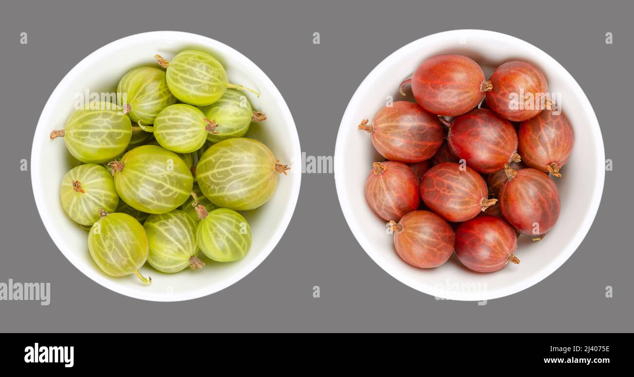 Frutti di bosco verdi e rossi, in ciotole bianche, di colore grigio. Bacche fresche, frutta della famiglia Ribes, conosciuta anche come uva d'oca europea. Foto Stock