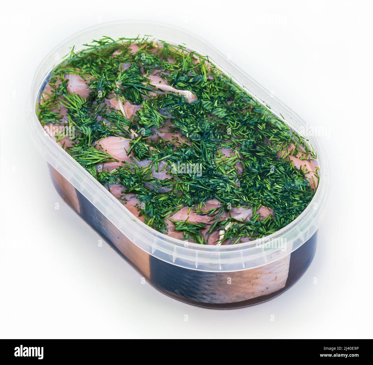 aringhe in scatola sottaceto conservate marinate con salsa di vino e aneto Foto Stock