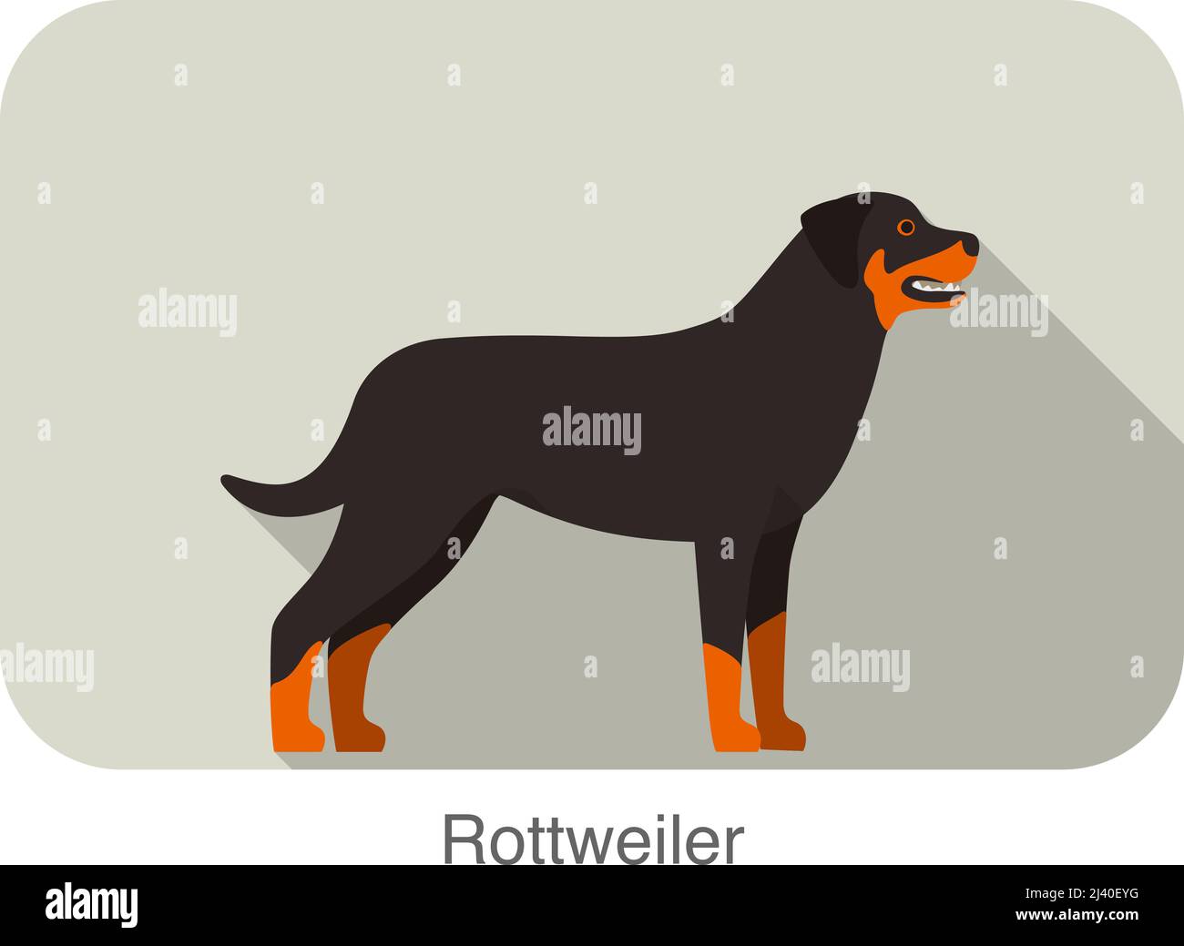 Rottweiler cane di razza in piedi sul suolo, laterale, cane cartoon serie di immagini Illustrazione Vettoriale