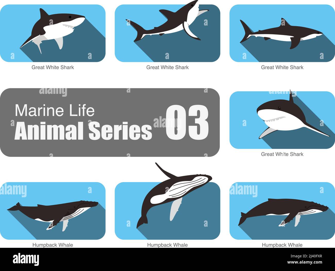 La vita marina cartoon collection, il vettore, il grande squalo bianco, Humpback Whale Illustrazione Vettoriale