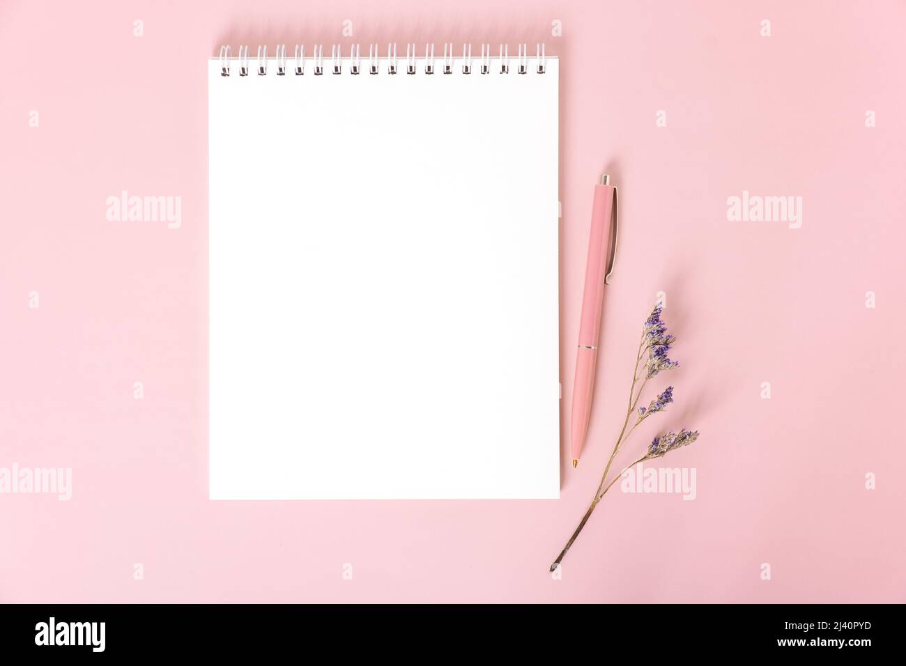 Blocco note con fogli bianchi, penna rosa e filone di fiori secchi Foto Stock
