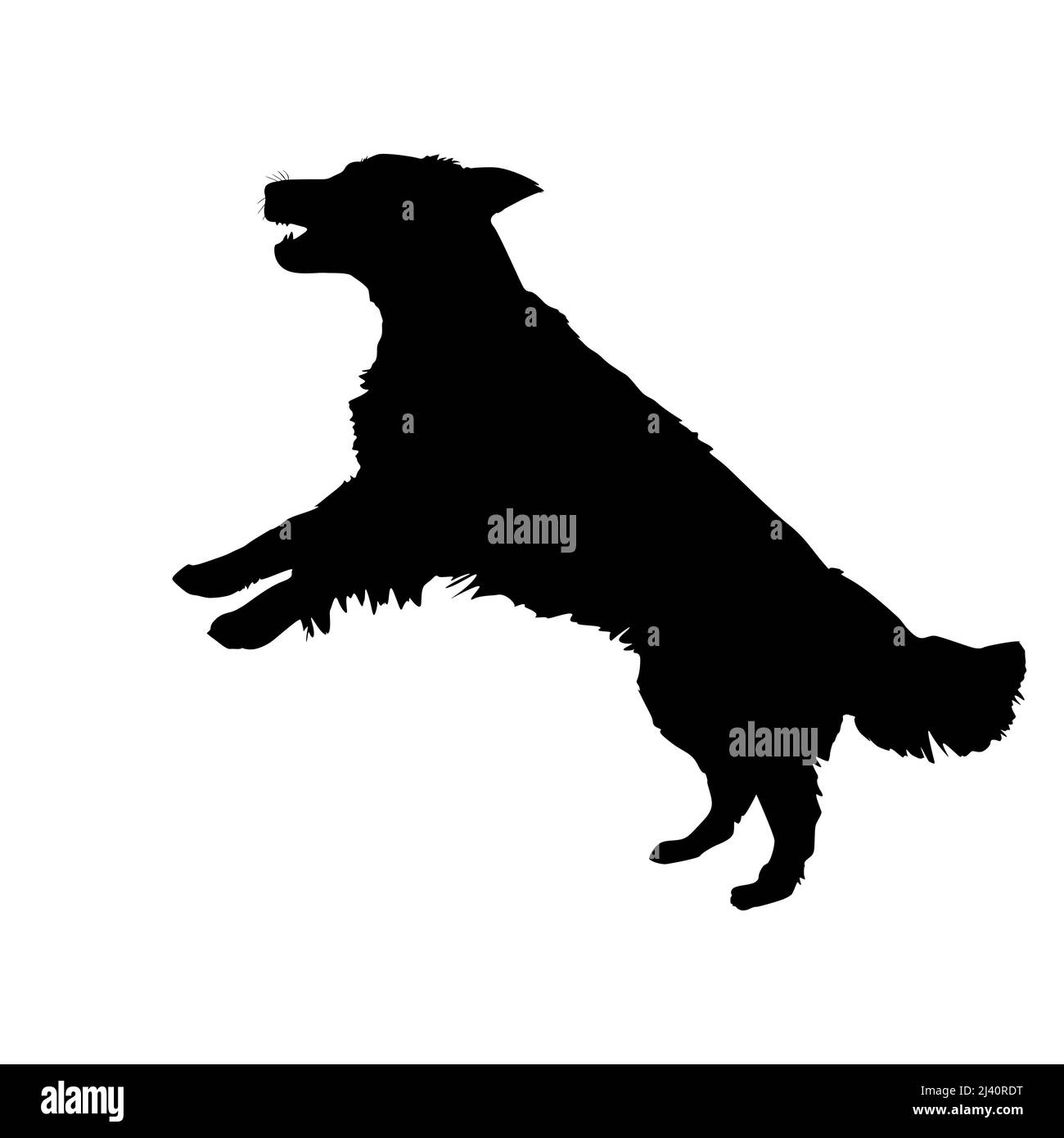 Profilo del cane. PET dog jumping nero icona. Watchdog symbol.Large razza housedog.Labrador si trova sulla sua parte posteriore gambe.Retriever in piedi o leaping.Vector Illustrazione Vettoriale