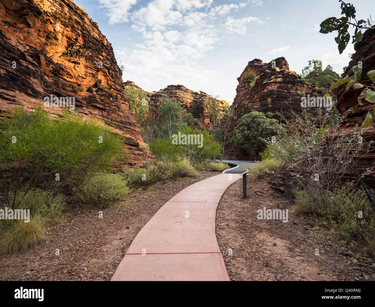 Passerella accessibile con sedia a rotelle nel Parco Nazionale Mirima, East Kimberley Foto Stock