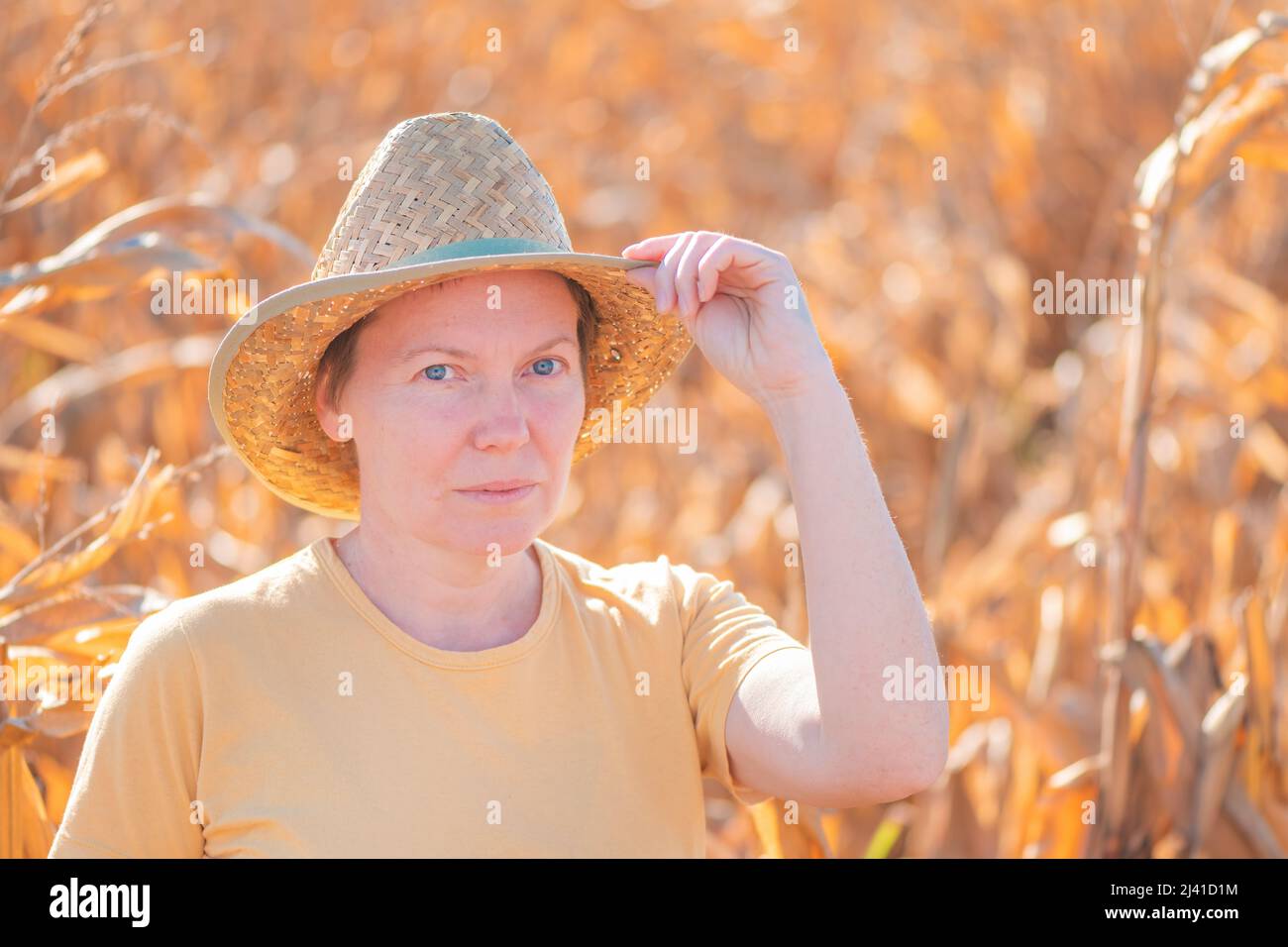 Agronomo femminile e contadino in piedi nel campo di mais dent raccolto maturo e guardando sopra piantagione Foto Stock