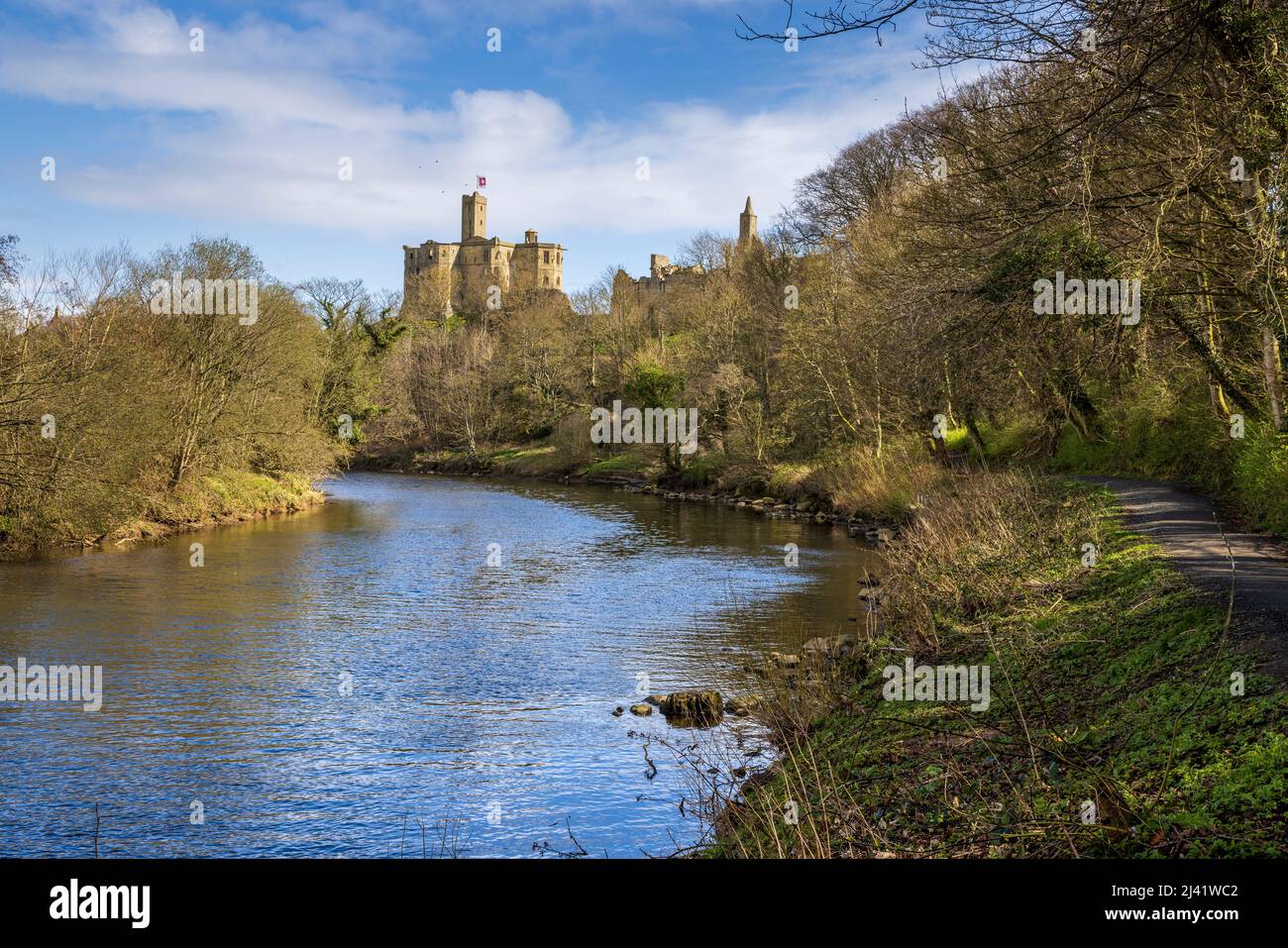 Lungo il fiume Coquet verso il castello di Warkworth in primavera, Northumberland, Inghilterra, Regno Unito Foto Stock