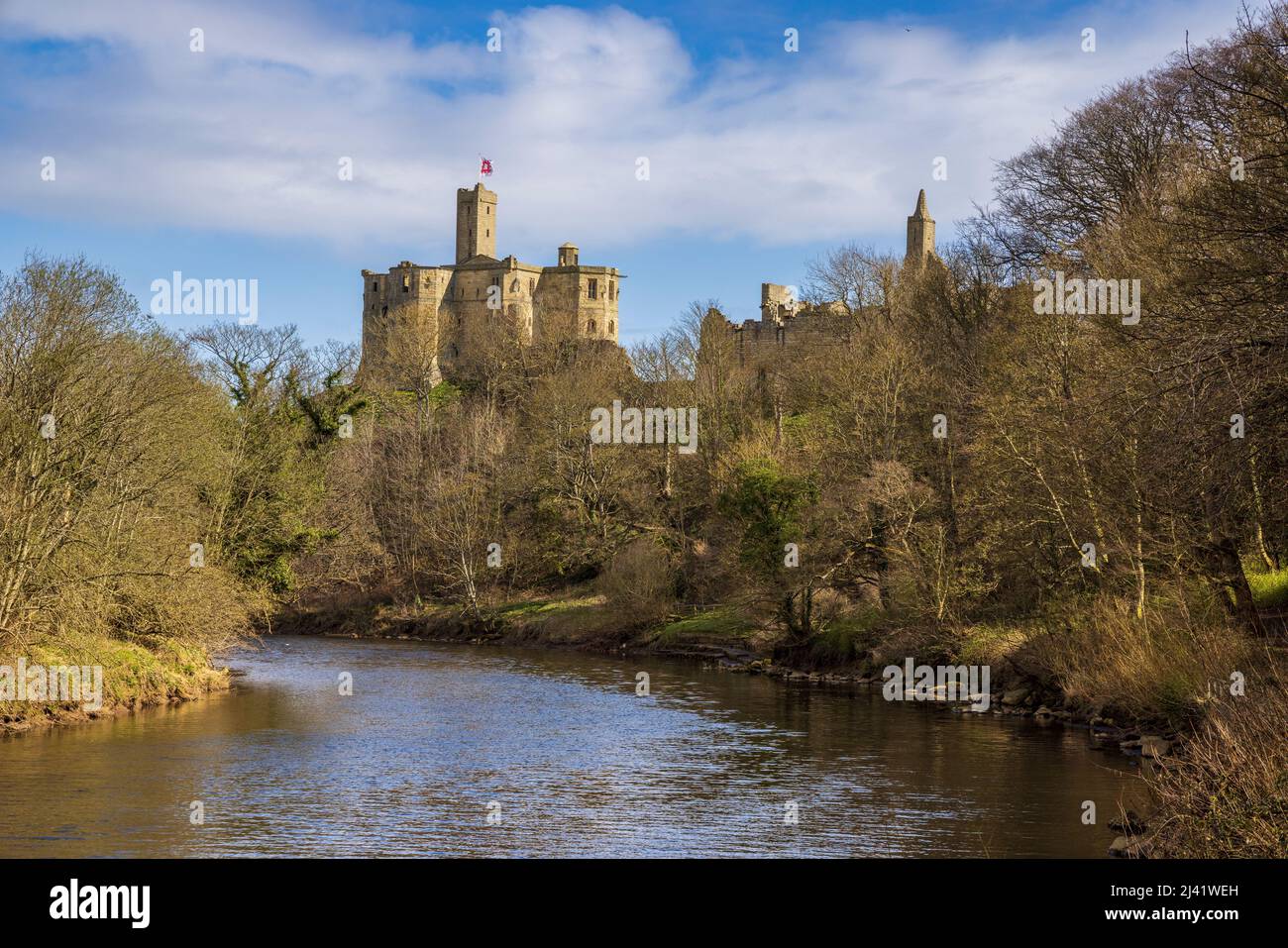 Lungo il fiume Coquet verso il castello di Warkworth in primavera, Northumberland, Inghilterra, Regno Unito Foto Stock