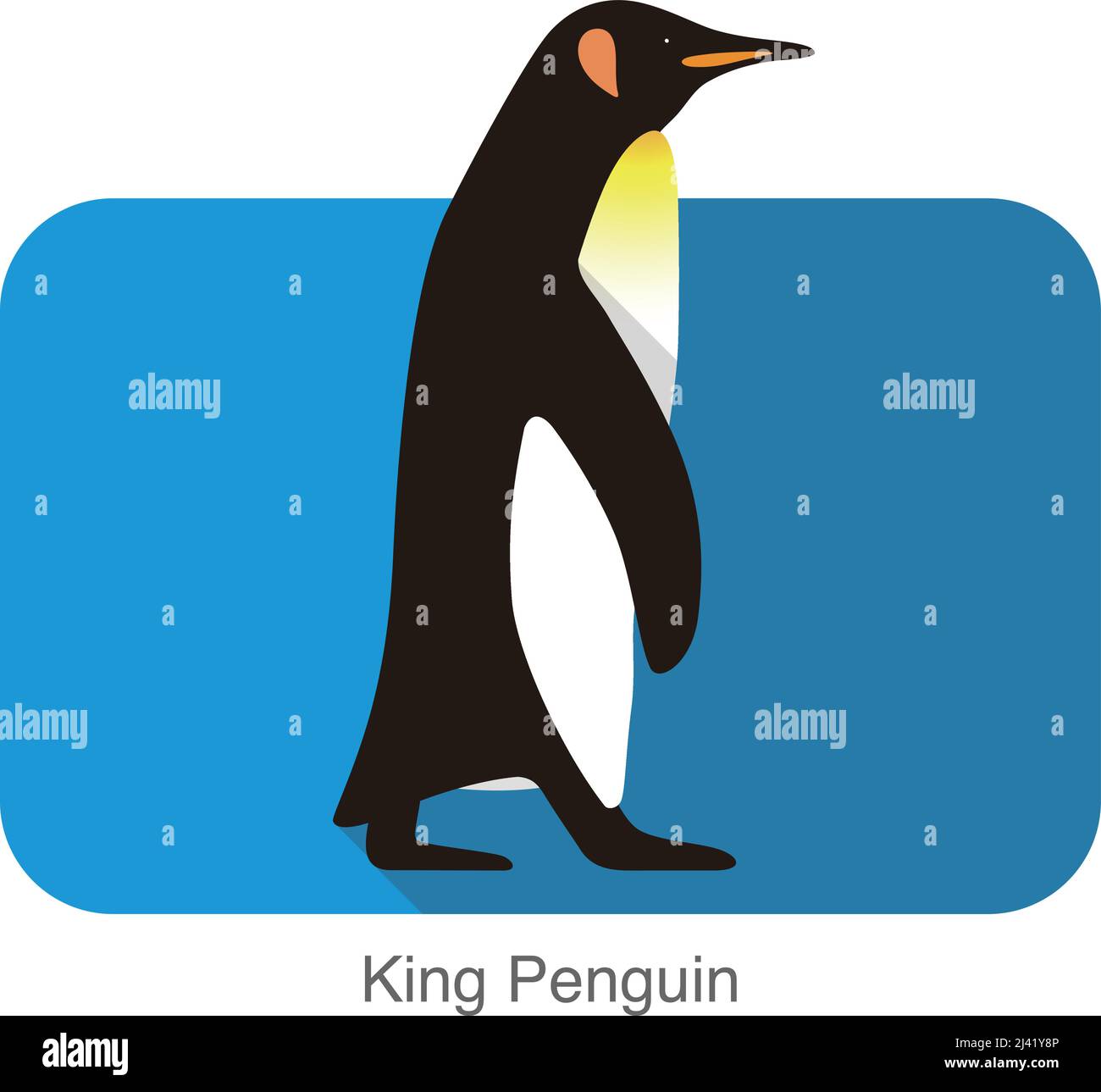 Pinguino reale a piedi, Penguin serie di sementi, illustrazione vettoriale Illustrazione Vettoriale