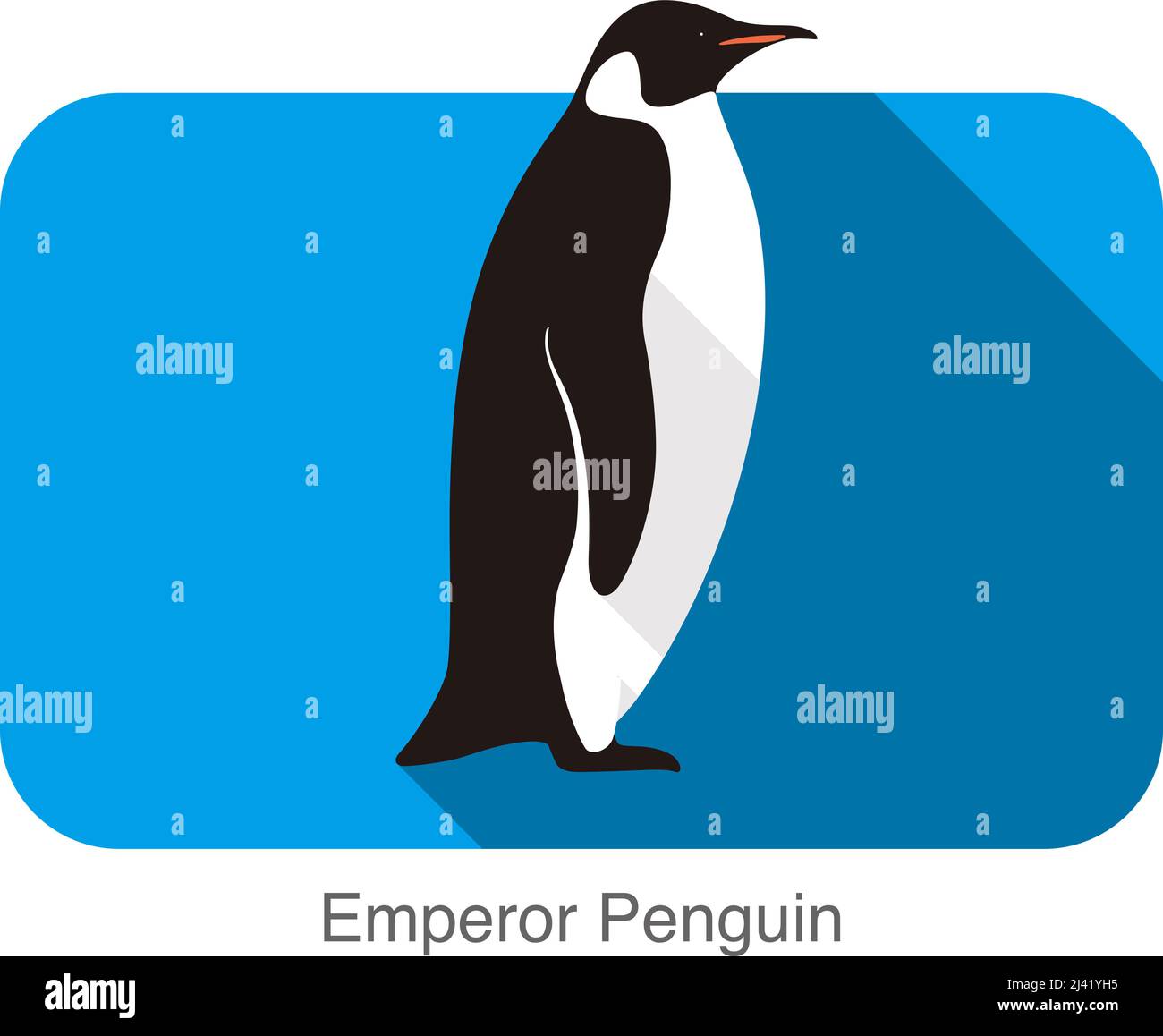 Pinguino imperatore in piedi sul terreno, serie di semi di pinguino Illustrazione Vettoriale