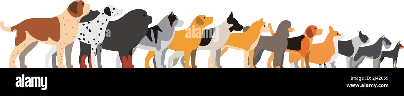 set di razze di cani in piedi in una linea, vista laterale illustrazione vettoriale Illustrazione Vettoriale