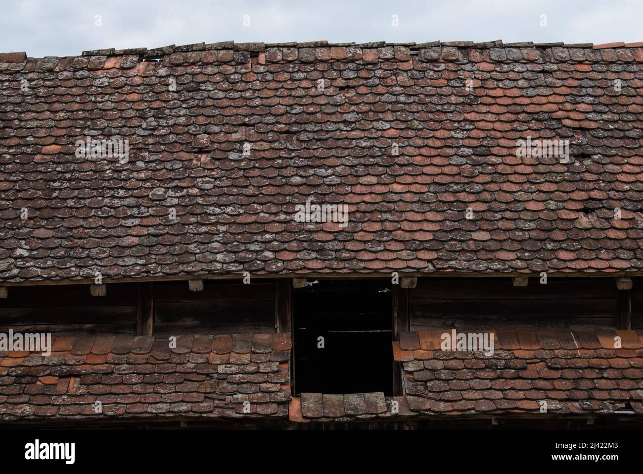 Piastrelle in rovina sulla vecchia casa. Foto Stock