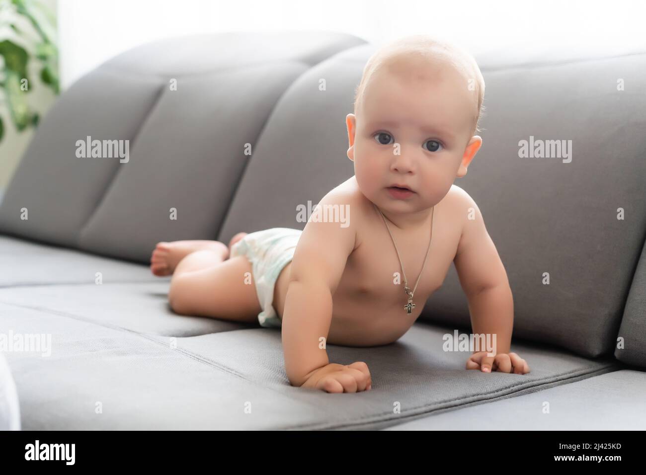 Il bambino di sei mesi. Neonato 6 mesi Foto stock - Alamy
