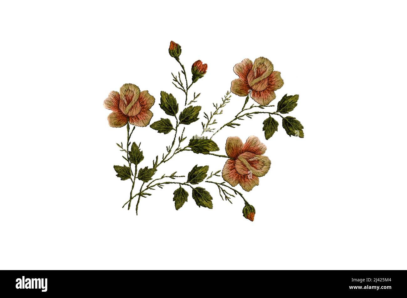 3D modello per ricamo a punti di un bouquet di tre delicate rose rosa su rami con germogli e foglie verdi su sfondo bianco Foto Stock